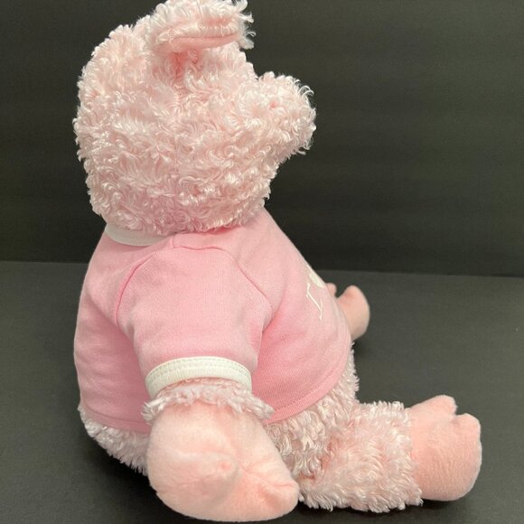 Pig Fluffy Plush Stuffed Animal with Pink Tee Shirt Wacky Bear Factory - Picture 4 of 5